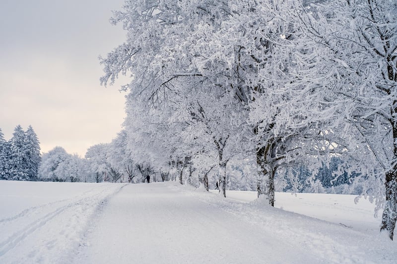 Snowy Mountain Adventure